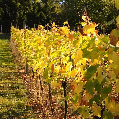 Alojamento de Acomodação e Pequeno-almoço La Ferme De Louise Hohengoeft