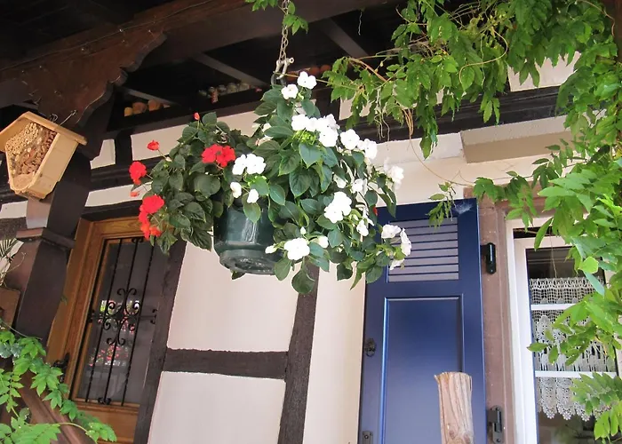 Oda ve Kahvaltı La Ferme De Louise Hohengoeft